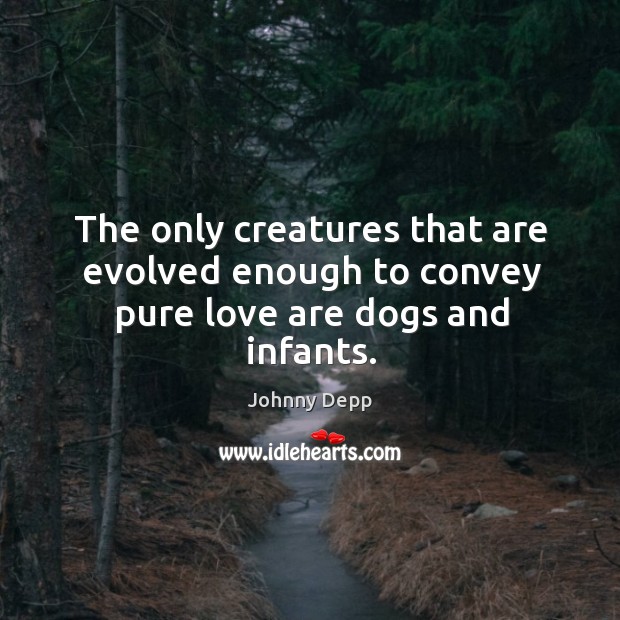 The only creatures that are evolved enough to convey pure love are dogs and infants. Image