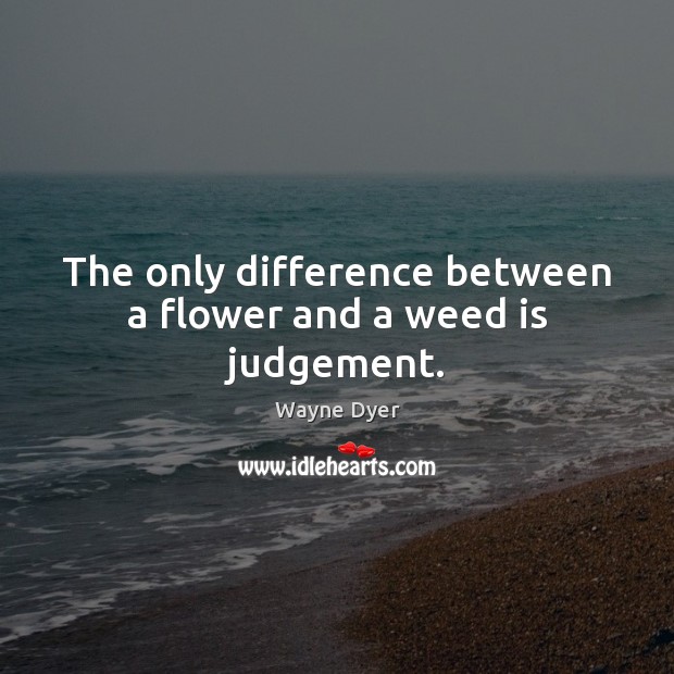 The only difference between a flower and a weed is judgement. Wayne Dyer Picture Quote