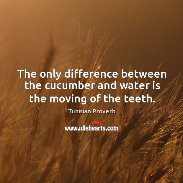 The only difference between the cucumber and water is the moving of the teeth. Tunisian Proverbs Image