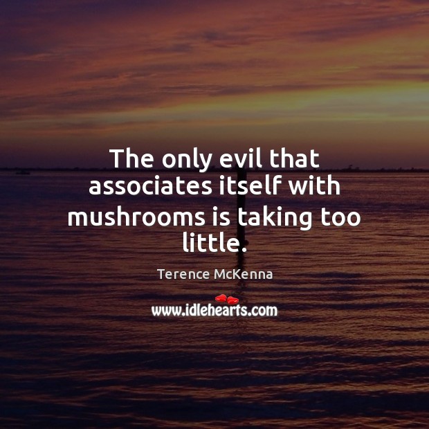 The only evil that associates itself with mushrooms is taking too little. Terence McKenna Picture Quote