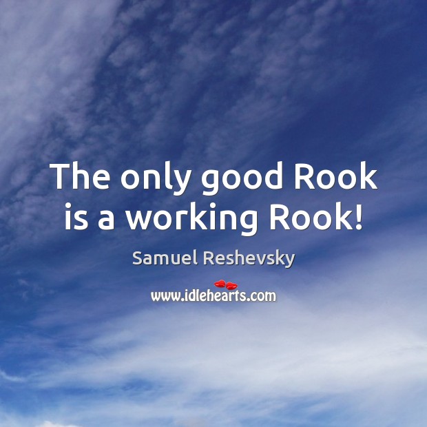 The only good Rook is a working Rook! Image