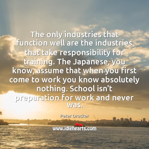 The only industries that function well are the industries that take responsibility Peter Drucker Picture Quote