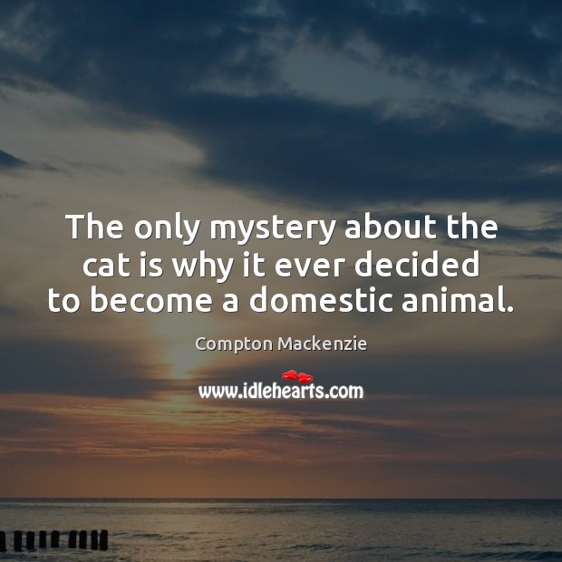 The only mystery about the cat is why it ever decided to become a domestic animal. Compton Mackenzie Picture Quote