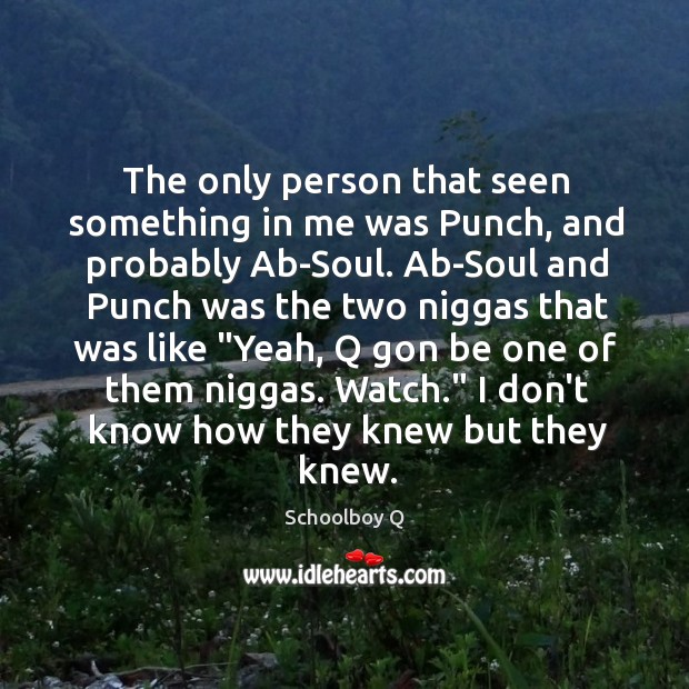 The only person that seen something in me was Punch, and probably Schoolboy Q Picture Quote