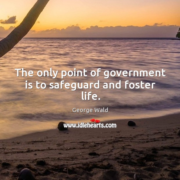The only point of government is to safeguard and foster life. Image