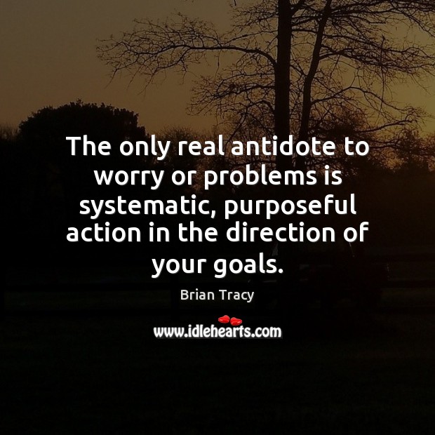 The only real antidote to worry or problems is systematic, purposeful action Brian Tracy Picture Quote