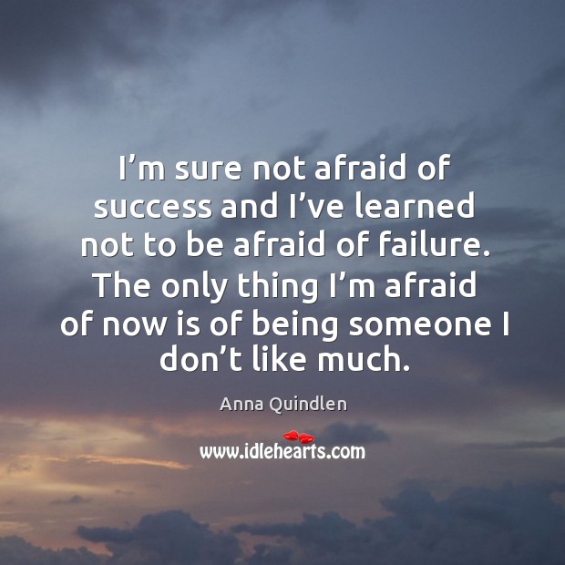 The only thing I’m afraid of now is of being someone I don’t like much. Anna Quindlen Picture Quote