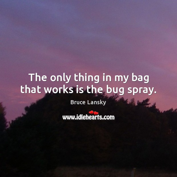 The only thing in my bag that works is the bug spray. Image