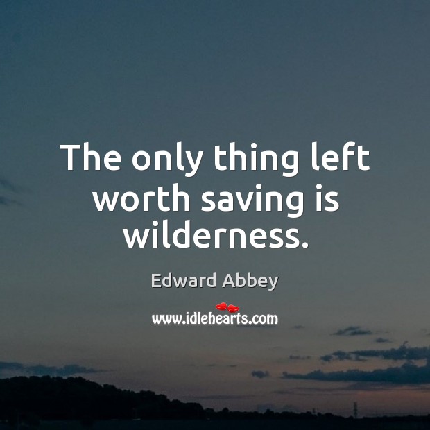 The only thing left worth saving is wilderness. Edward Abbey Picture Quote