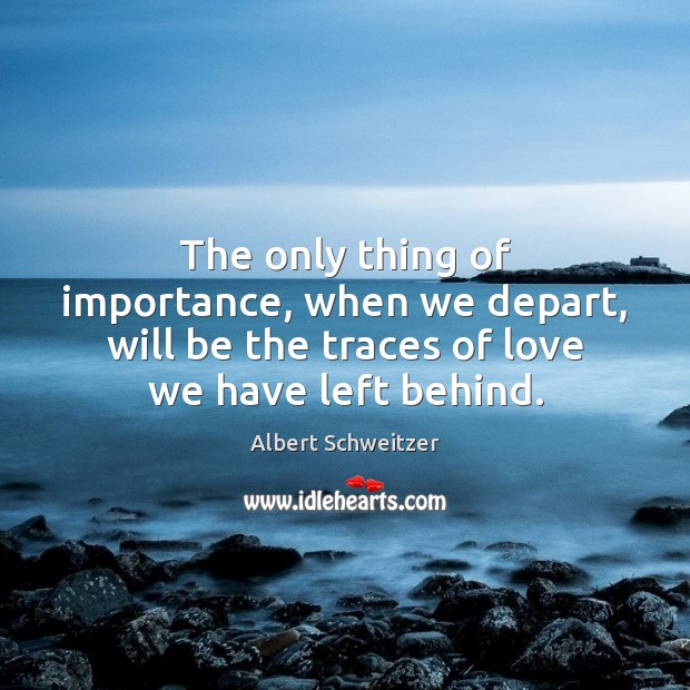 The only thing of importance, when we depart, will be the traces Albert Schweitzer Picture Quote