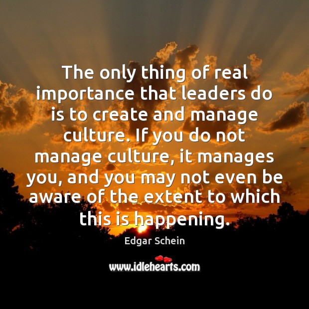 The only thing of real importance that leaders do is to create Edgar Schein Picture Quote