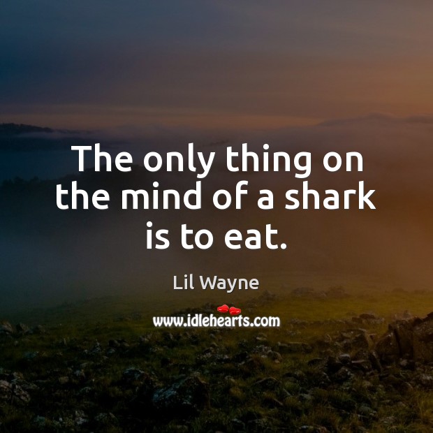 The only thing on the mind of a shark is to eat. Lil Wayne Picture Quote