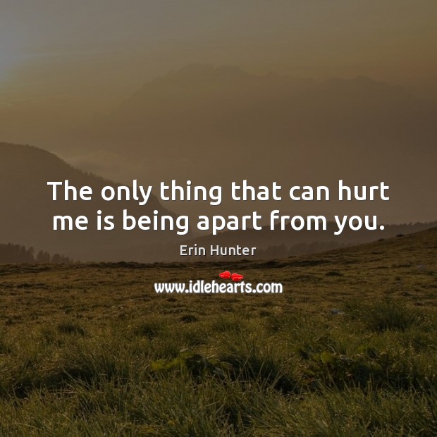 The only thing that can hurt me is being apart from you. Erin Hunter Picture Quote