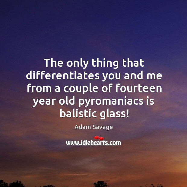 The only thing that differentiates you and me from a couple of fourteen year old pyromaniacs is balistic glass! Adam Savage Picture Quote