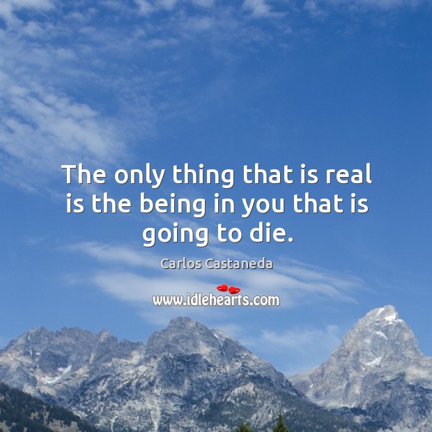The only thing that is real is the being in you that is going to die. Image