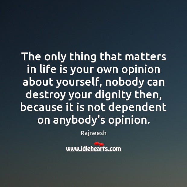 The only thing that matters in life is your own opinion about Image