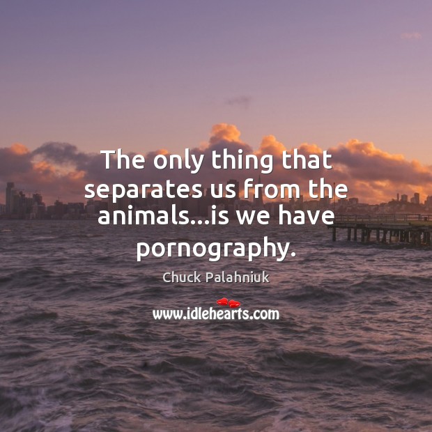 The only thing that separates us from the animals…is we have pornography. Image