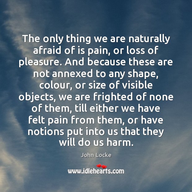 The only thing we are naturally afraid of is pain, or loss John Locke Picture Quote