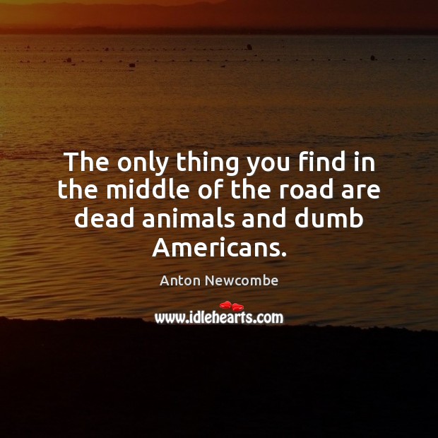 The only thing you find in the middle of the road are dead animals and dumb Americans. Anton Newcombe Picture Quote