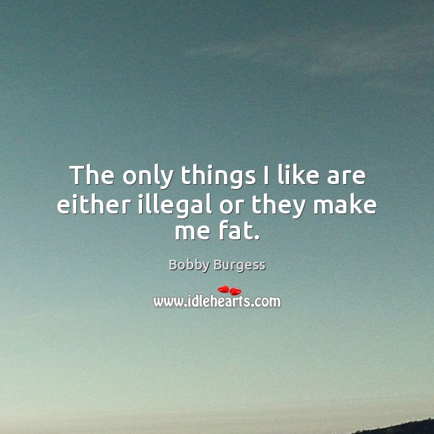 The only things I like are either illegal or they make me fat. Image