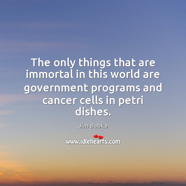 The only things that are immortal in this world are government programs Jim Babka Picture Quote
