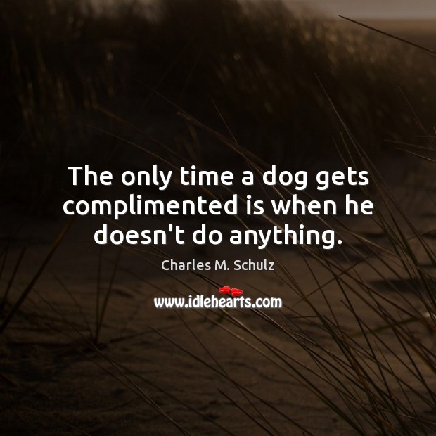 The only time a dog gets complimented is when he doesn’t do anything. Charles M. Schulz Picture Quote
