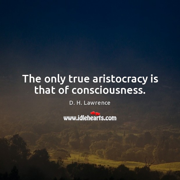 The only true aristocracy is that of consciousness. Image