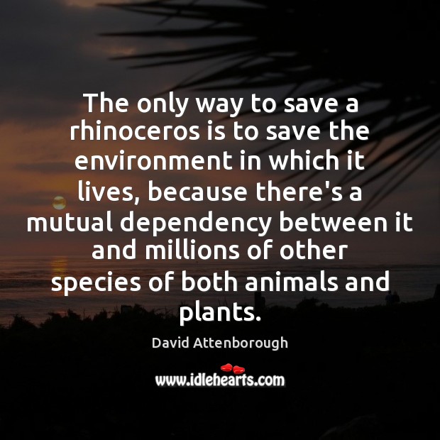 The only way to save a rhinoceros is to save the environment David Attenborough Picture Quote