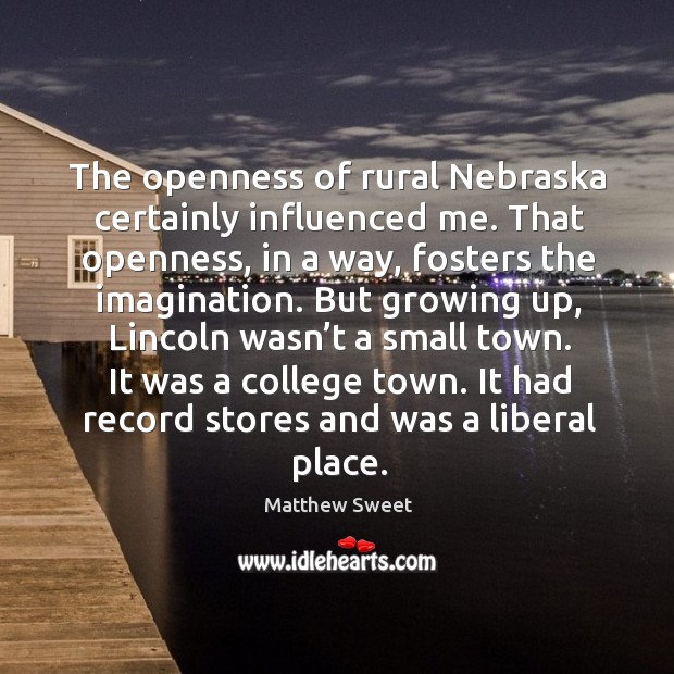 The openness of rural nebraska certainly influenced me. That openness, in a way, fosters the imagination. Matthew Sweet Picture Quote