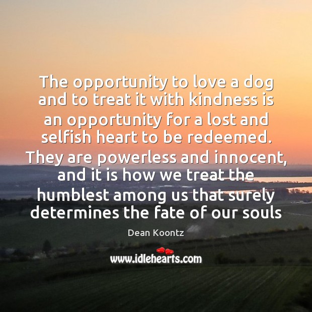 The opportunity to love a dog and to treat it with kindness Dean Koontz Picture Quote