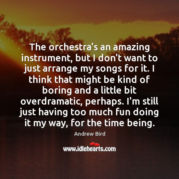 The orchestra’s an amazing instrument, but I don’t want to just arrange Andrew Bird Picture Quote