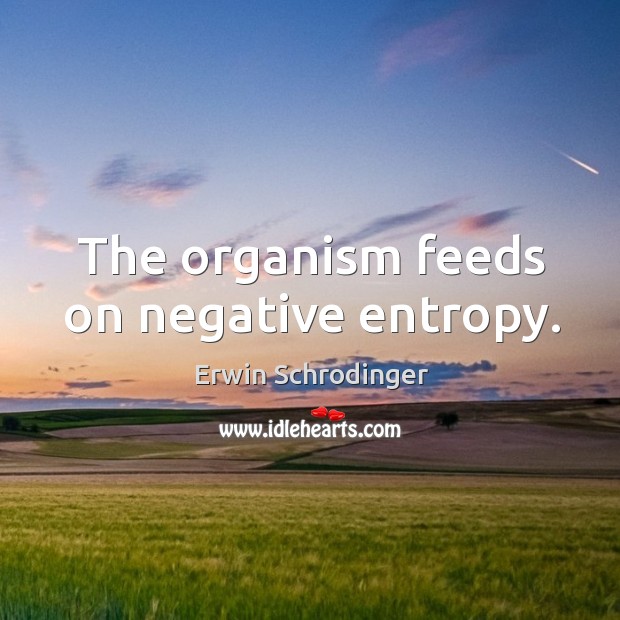 The organism feeds on negative entropy. Erwin Schrodinger Picture Quote
