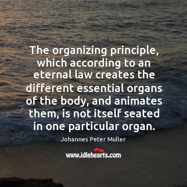The organizing principle, which according to an eternal law creates the different essential organs of the body Johannes Peter Muller Picture Quote