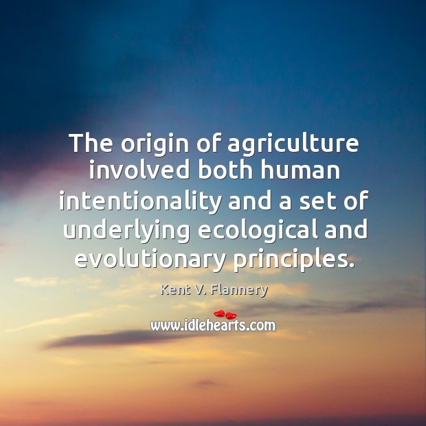 The origin of agriculture involved both human intentionality and a set of Kent V. Flannery Picture Quote
