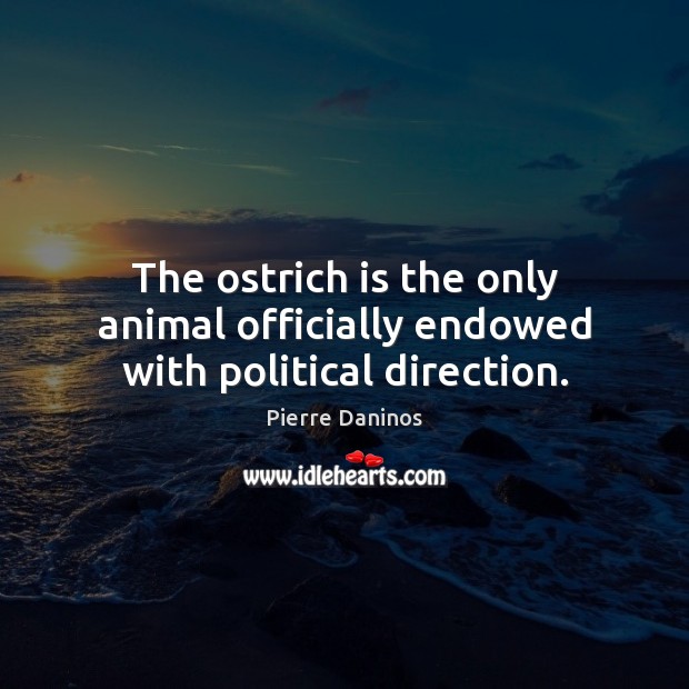 The ostrich is the only animal officially endowed with political direction. Pierre Daninos Picture Quote