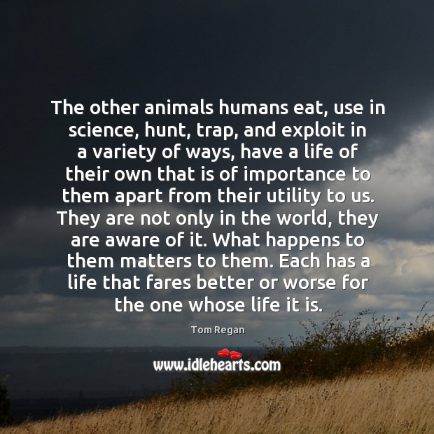 The other animals humans eat, use in science, hunt, trap, and exploit 