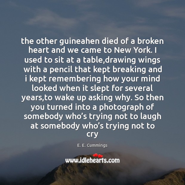 The other guineahen died of a broken heart and we came to Broken Heart Quotes Image