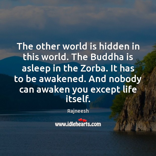 The other world is hidden in this world. The Buddha is asleep Image