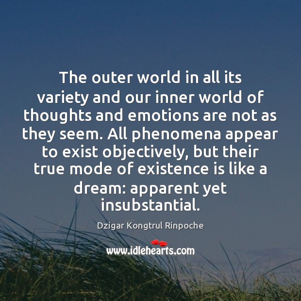 The outer world in all its variety and our inner world of Dzigar Kongtrul Rinpoche Picture Quote