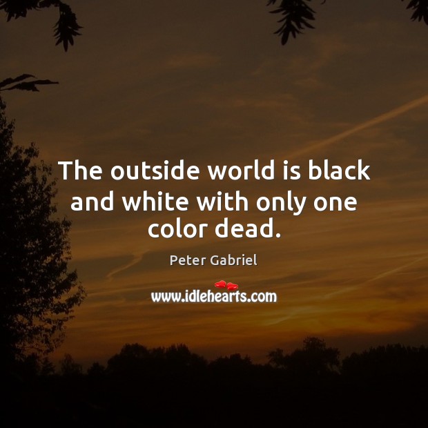 The outside world is black and white with only one color dead. Peter Gabriel Picture Quote