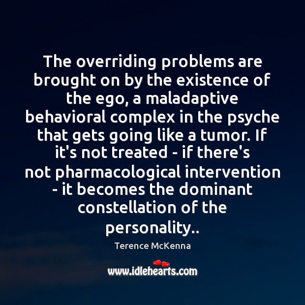 The overriding problems are brought on by the existence of the ego, Terence McKenna Picture Quote