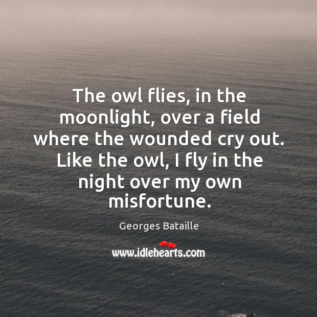 The owl flies, in the moonlight, over a field where the wounded Image