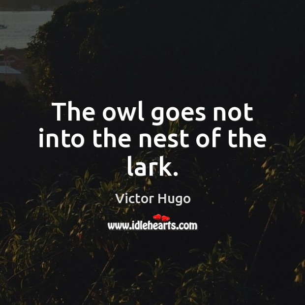 The owl goes not into the nest of the lark. Victor Hugo Picture Quote