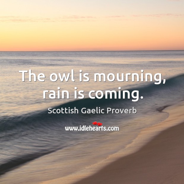 The owl is mourning, rain is coming. Scottish Gaelic Proverbs Image