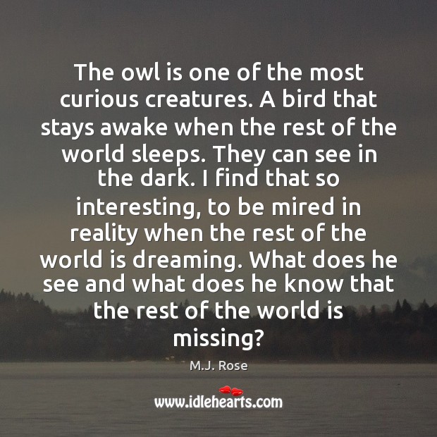 The owl is one of the most curious creatures. A bird that M.J. Rose Picture Quote