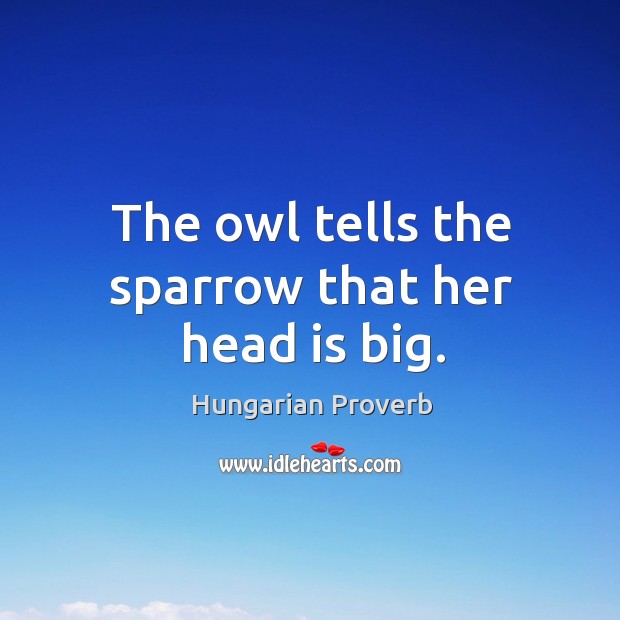 The owl tells the sparrow that her head is big. Image