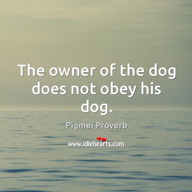 The owner of the dog does not obey his dog. Image