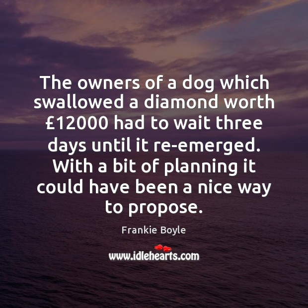 The owners of a dog which swallowed a diamond worth £12000 had to Frankie Boyle Picture Quote
