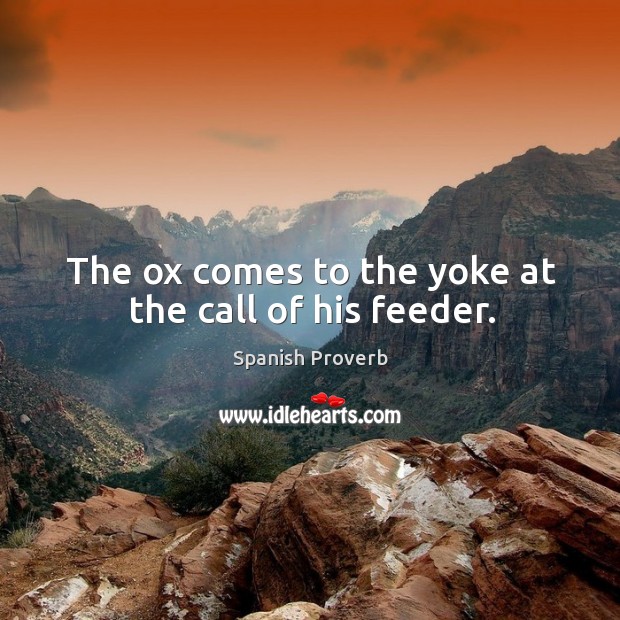 The ox comes to the yoke at the call of his feeder. Image