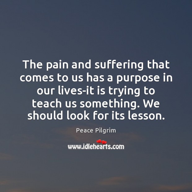 The pain and suffering that comes to us has a purpose in Peace Pilgrim Picture Quote